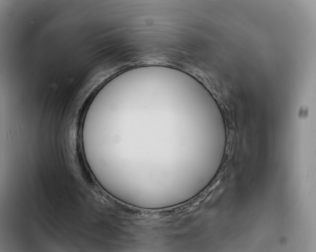 X0000103230194200808280958
