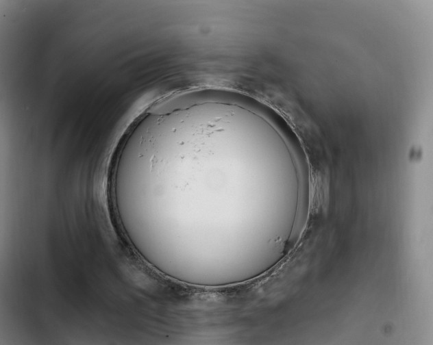 X0000103230195200808280958