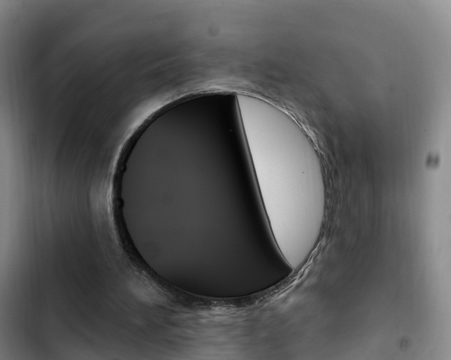 X0000103230196200808280958