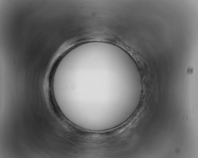 X0000103230198200808280958