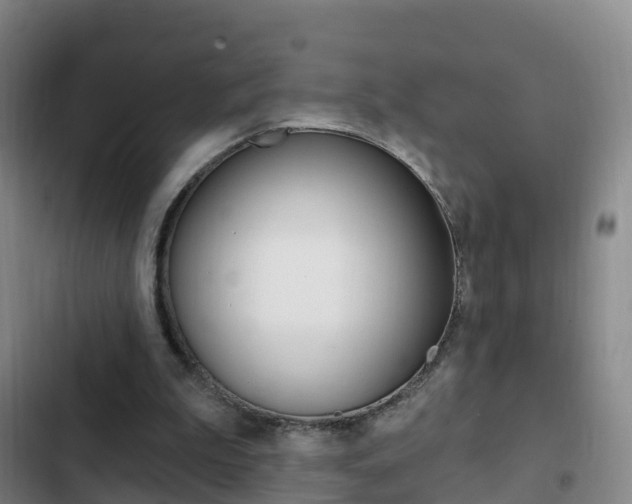 X0000103230199200808280958