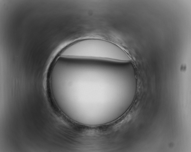 X0000103230200200808280958