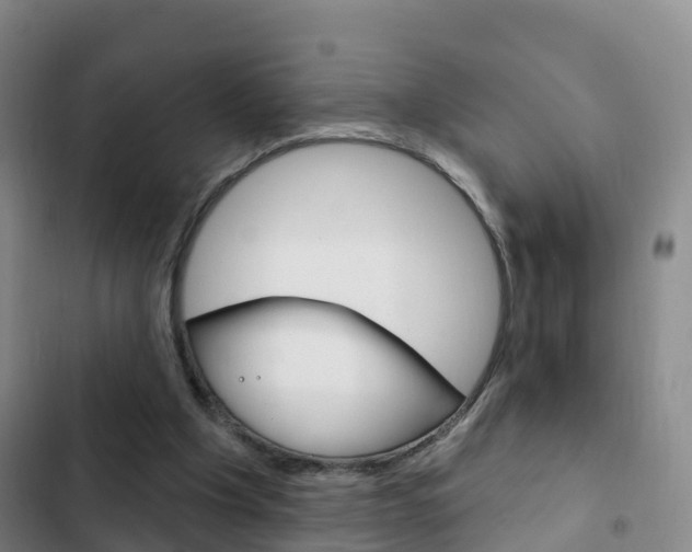 X0000103230201200808280958