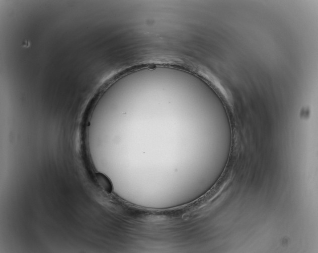 X0000103230203200808280958
