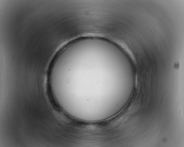X0000103230204200808280958
