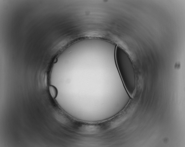 X0000103230205200808280958
