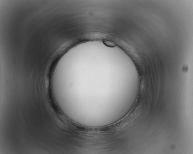 X0000103230206200808280958