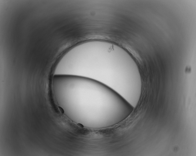 X0000103230207200808280958