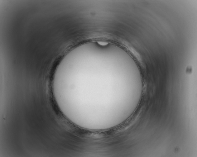 X0000103230209200808280958