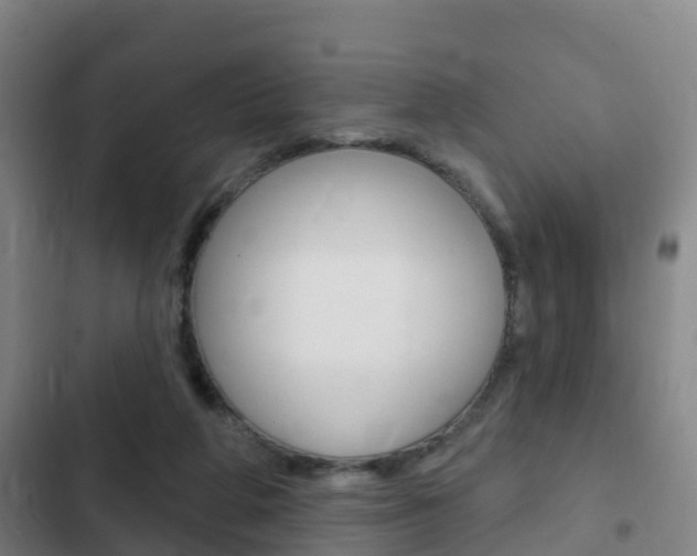 X0000103230210200808280958