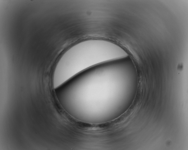 X0000103230212200808280958