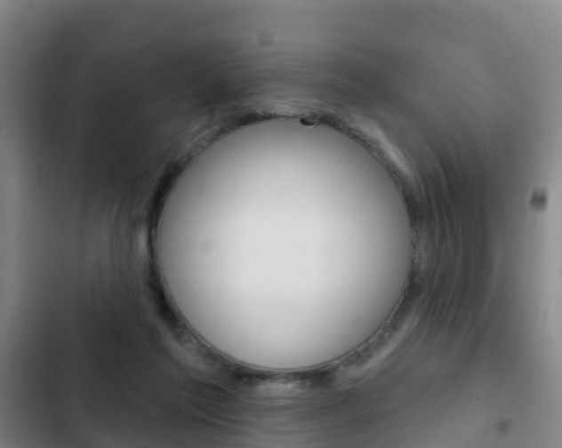 X0000103230213200808280958