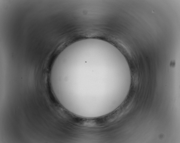 X0000103230214200808280958