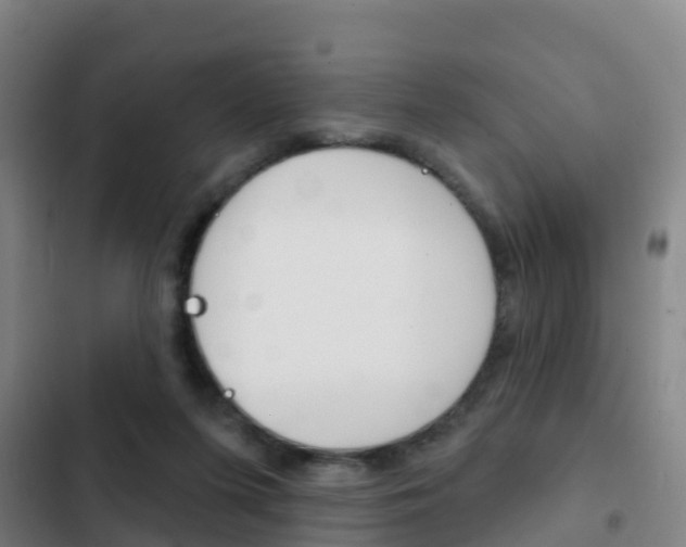 X0000103230215200808280958