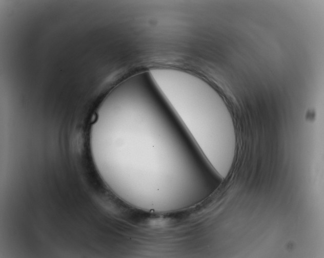 X0000103230216200808280958