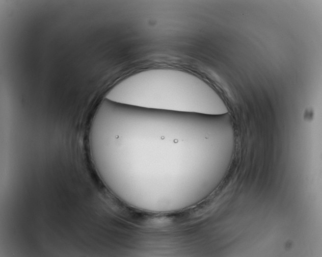 X0000103230217200808280958