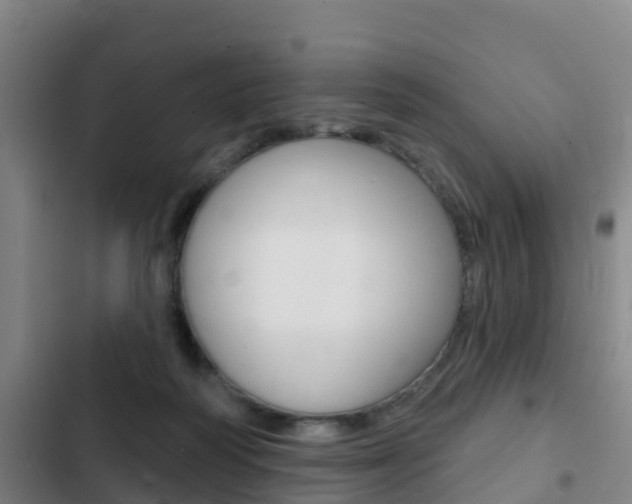 X0000103230218200808280958
