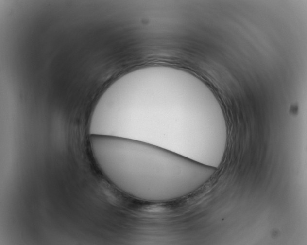 X0000103230219200808280958