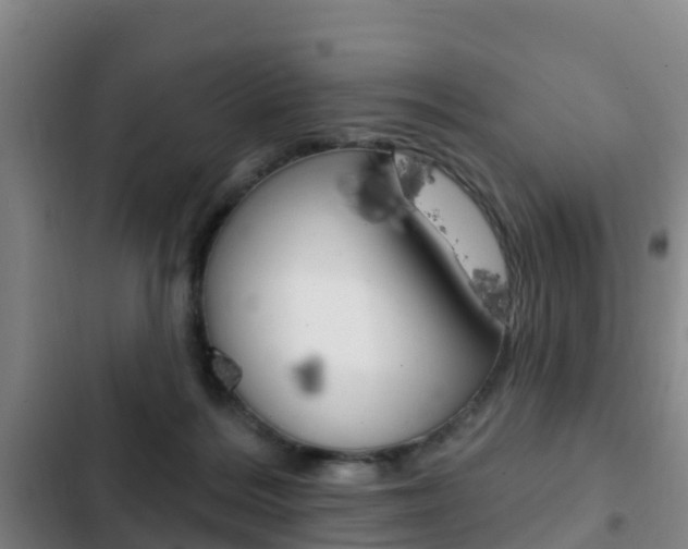X0000103230220200808280958