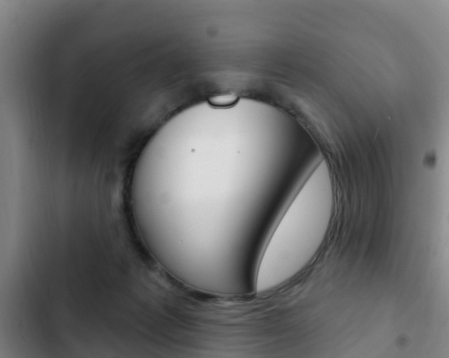 X0000103230221200808280957