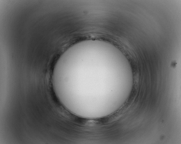 X0000103230222200808280957