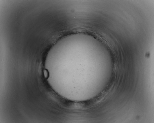 X0000103230223200808280957