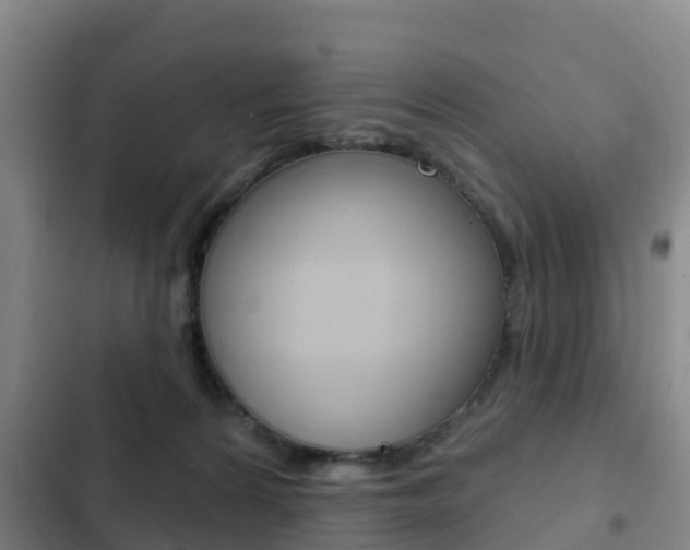 X0000103230224200808280957