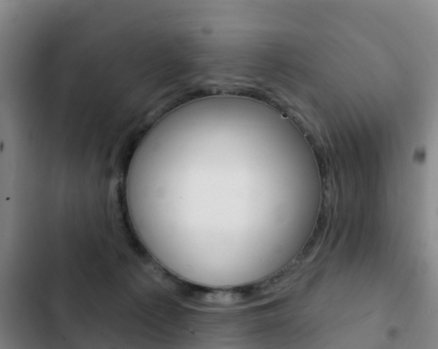X0000103230225200808280957