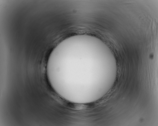 X0000103230226200808280957