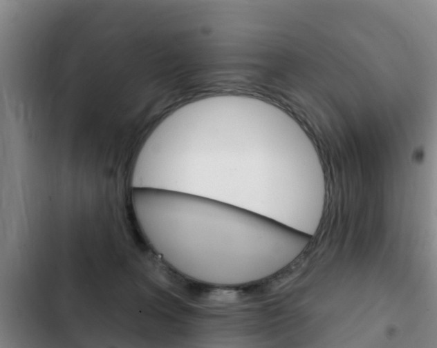 X0000103230227200808280957