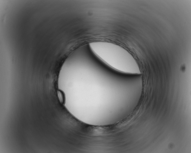 X0000103230229200808280957