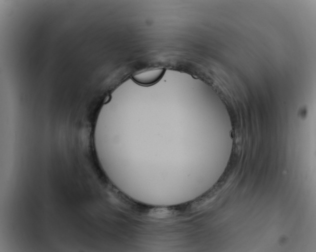 X0000103230231200808280957