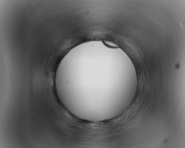X0000103230232200808280957