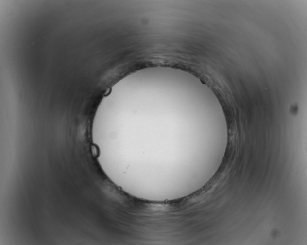 X0000103230233200808280957