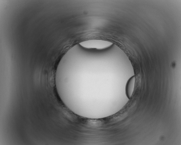 X0000103230234200808280957