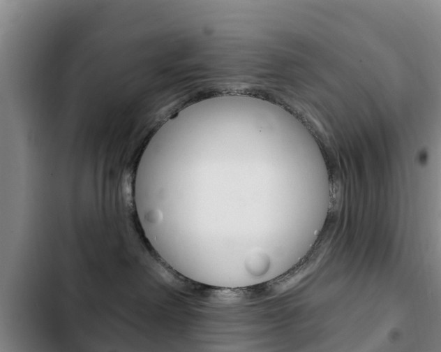 X0000103230238200808280957