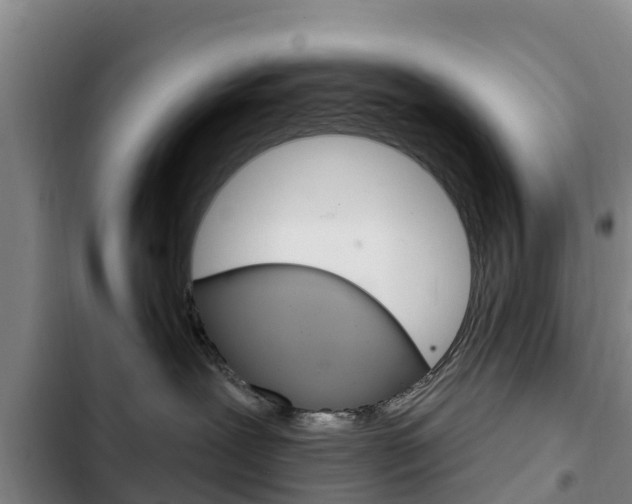 X0000103230239200808280957
