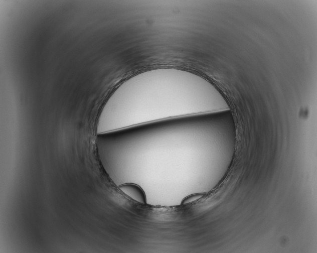 X0000103230240200808280957