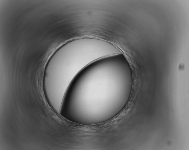 X0000103230241200808280957
