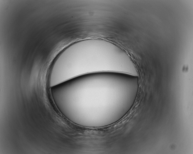 X0000103230242200808280957