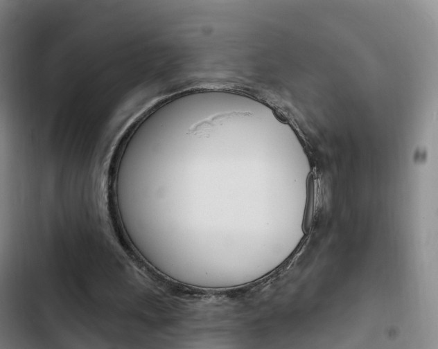 X0000103230243200808280957