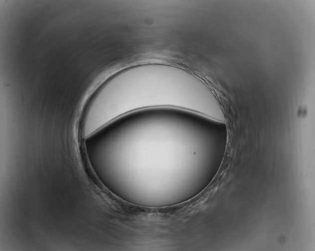 X0000103230244200808280957