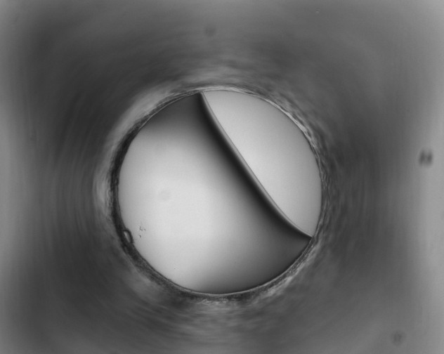 X0000103230245200808280957