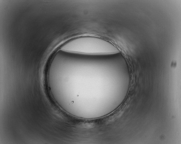 X0000103230247200808280957