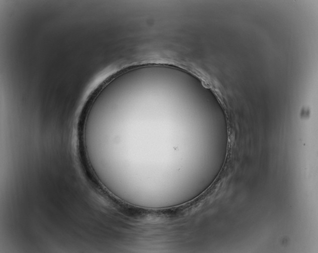 X0000103230248200808280957