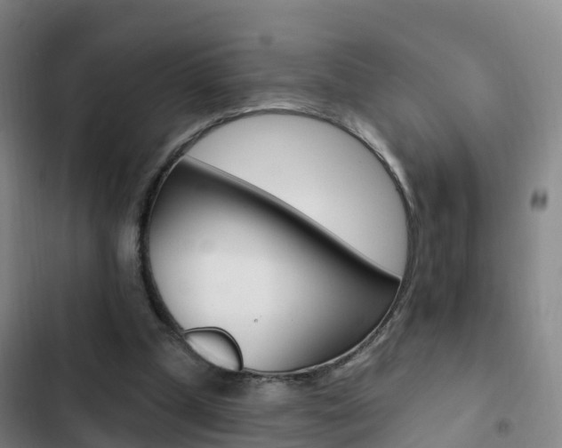 X0000103230249200808280957