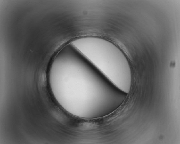 X0000103230251200808280957