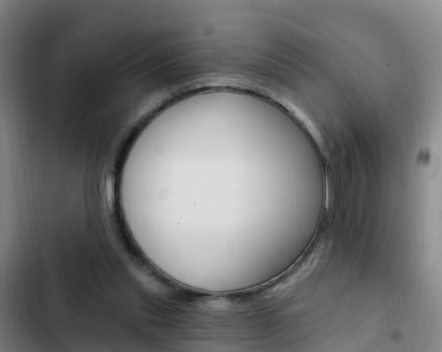 X0000103230253200808280957