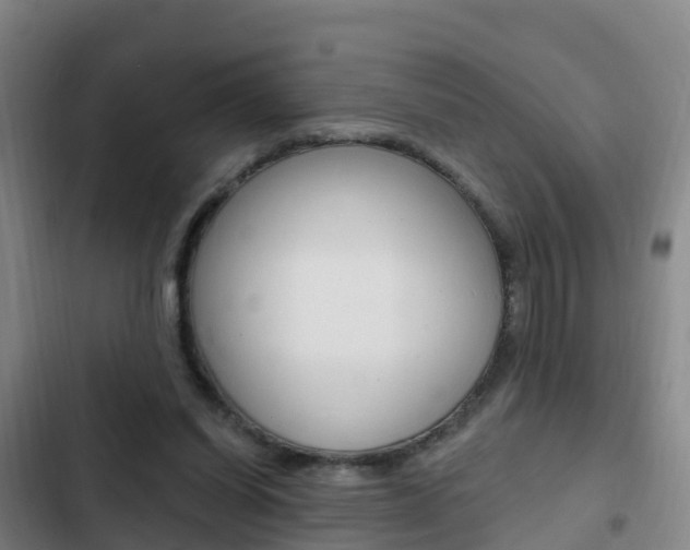 X0000103230254200808280957