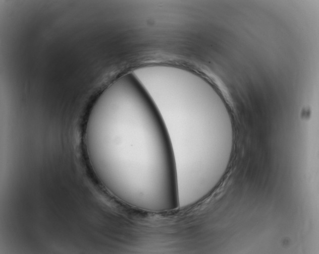 X0000103230257200808280957